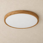 Orion ceiling light – light off