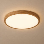 Orion ceiling light – light on